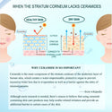 explain the important of ceramide for our skin and how Moisturizing Ceramide Lotion work to help it