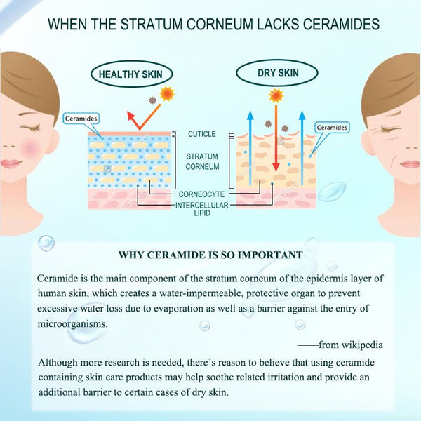 why ceramide Toner is so important for moisturizing