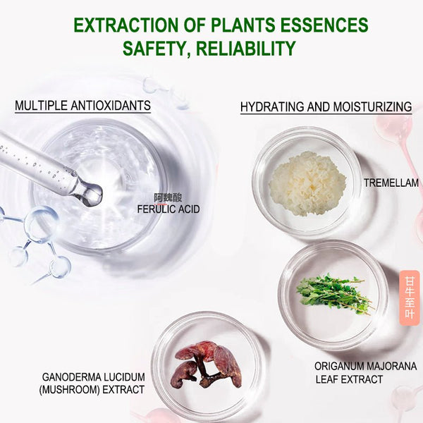 key ingredients of Astaxanthin Antioxidant Toner