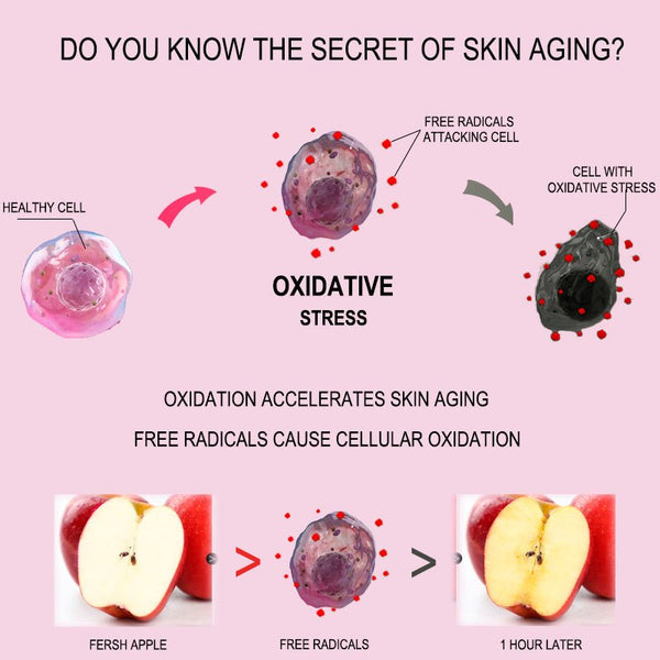 explain how skin get aging and how antioxidant toner work to protect skin from oxidation